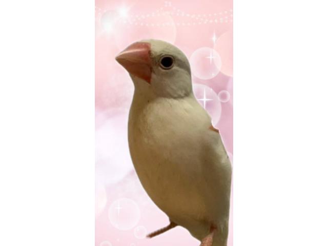 2025/09/30 W様