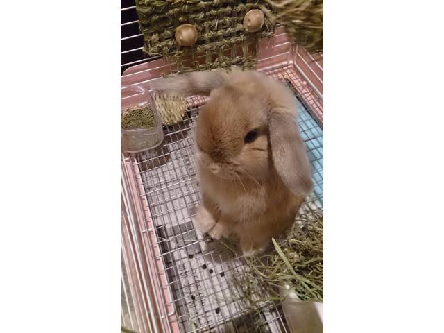 2025/10/29 I様