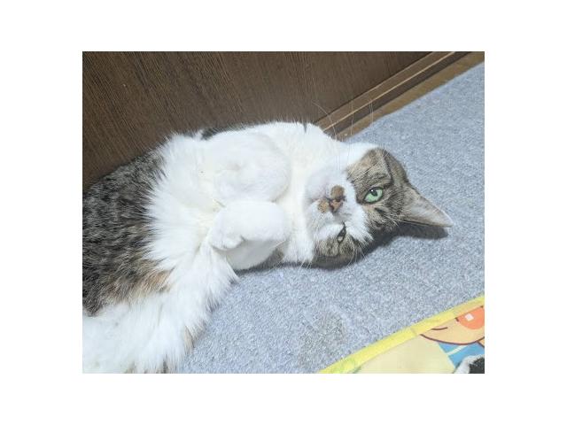 2025/11/14 S様