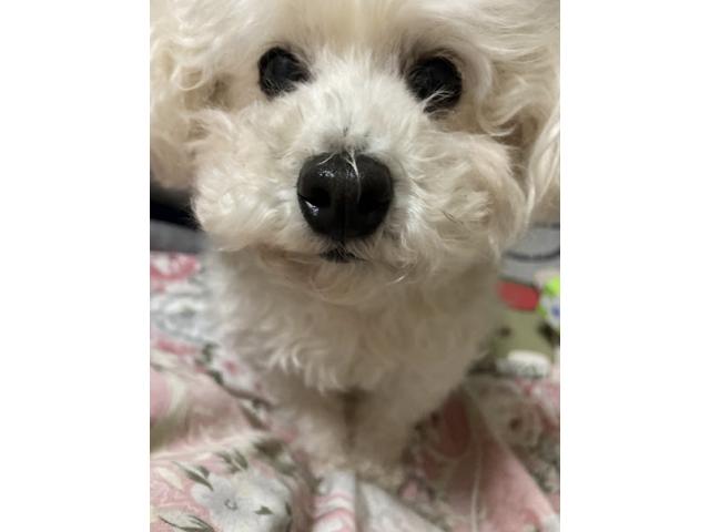 2026/01/06 T様