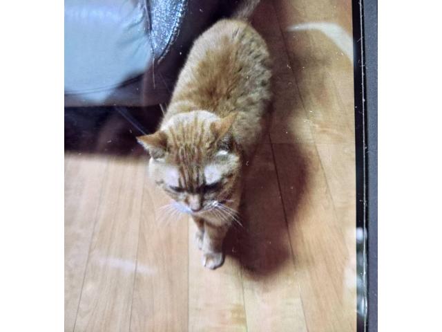 2026/01/07 T様
