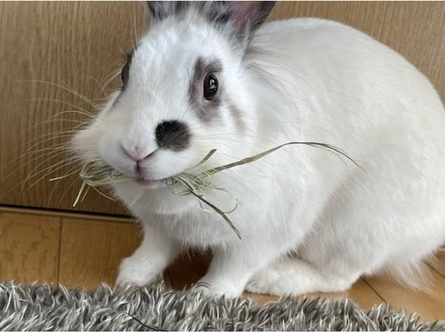 2026/01/15 U様