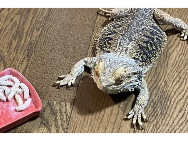 2026/01/15 K様