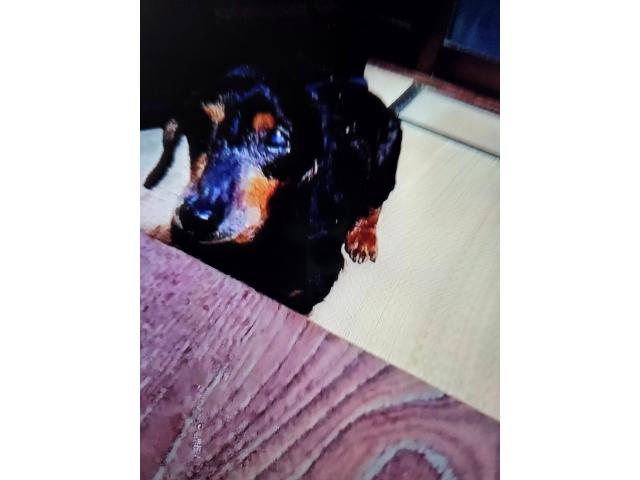 2026/01/19 K様