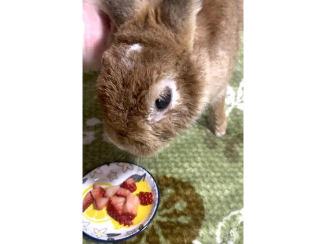 2026/01/29 A様
