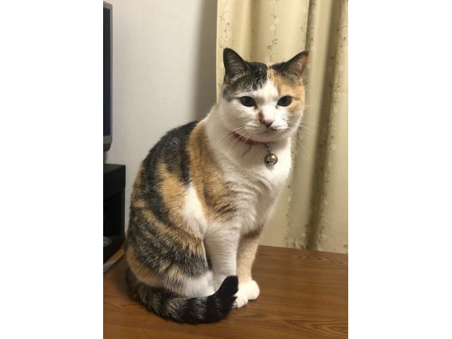 2026/01/23 K様