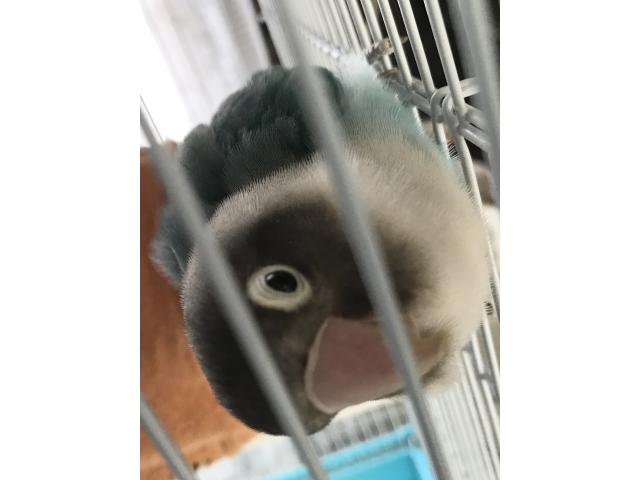 2026/03/23 K様
