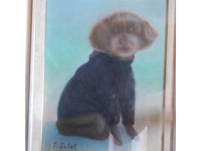 dispPetName($row['pet_name'])