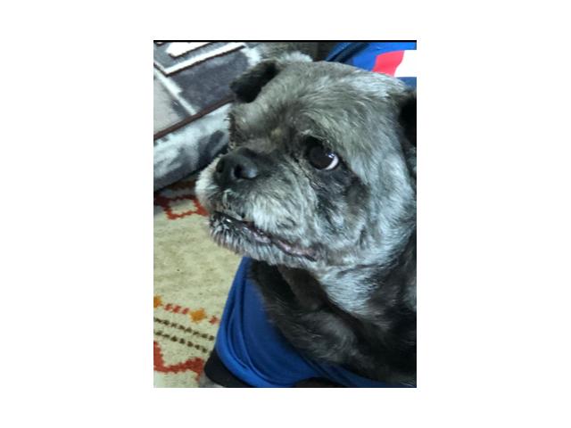 dispPetName($row['pet_name'])