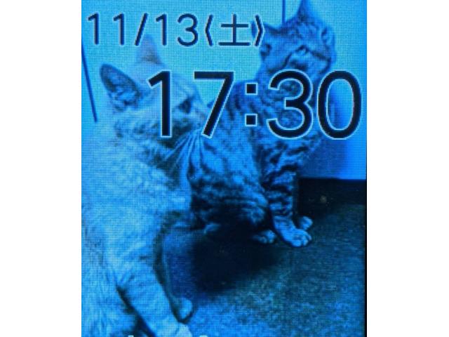 dispPetName($row['pet_name'])