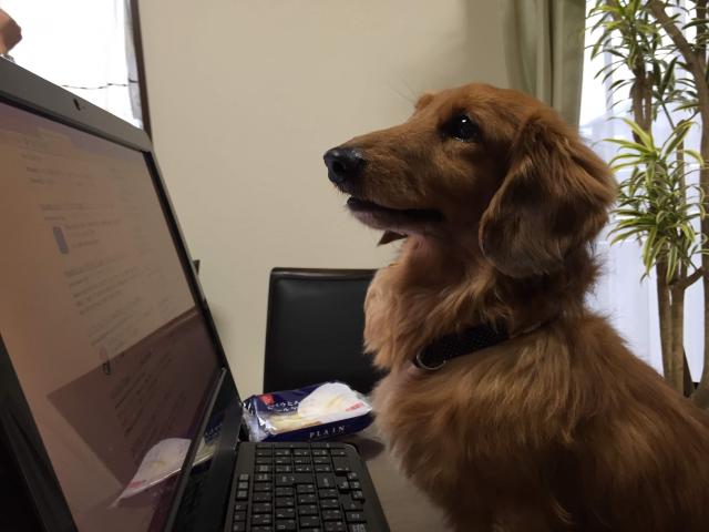 dispPetName($row['pet_name'])