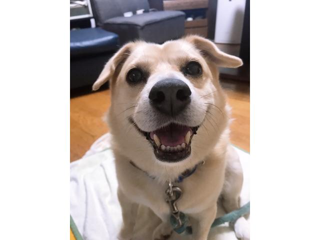 ソラちゃん