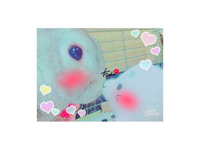 ミントちゃん