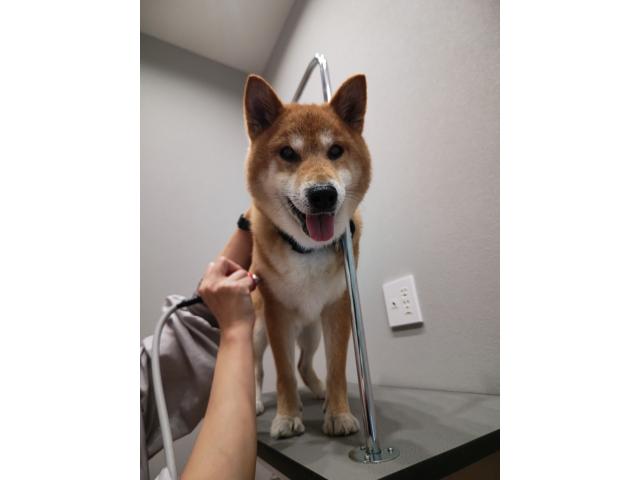 空ちゃん