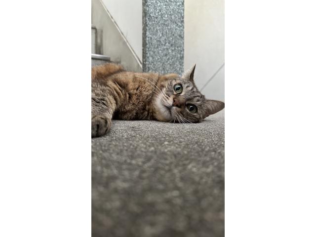 ビビちゃん