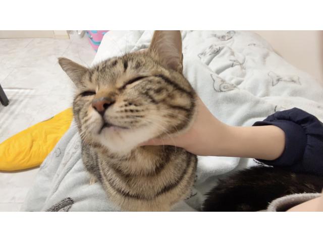 むぎちゃん