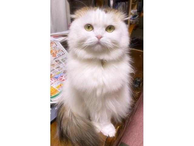 ノアちゃん