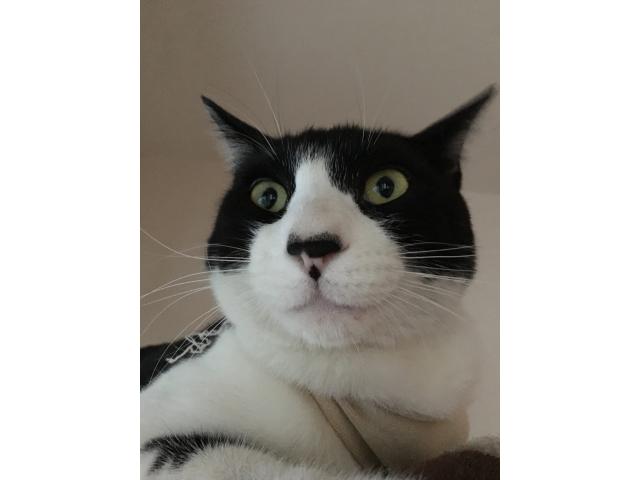 ちびちゃん