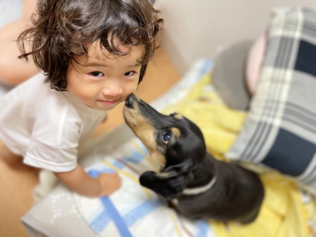 ココちゃん