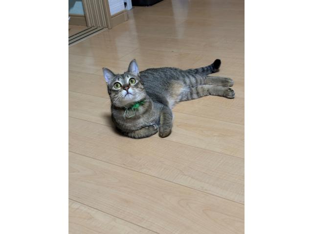 リアちゃん