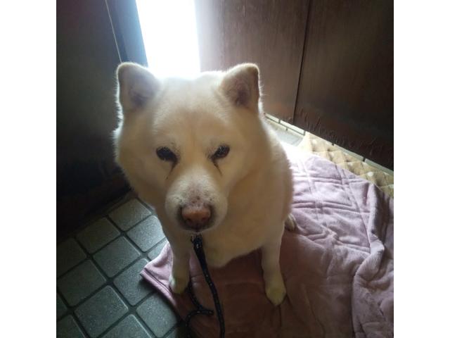 大ちゃん