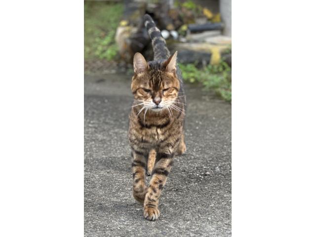 ベンちゃん