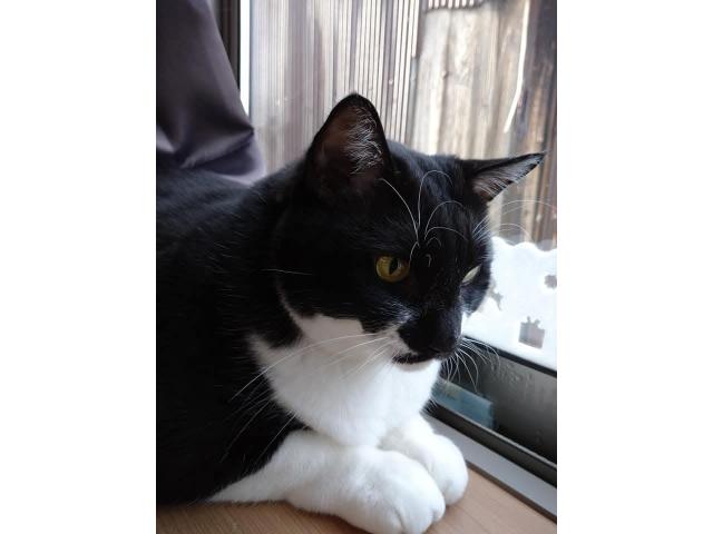 ソラちゃん