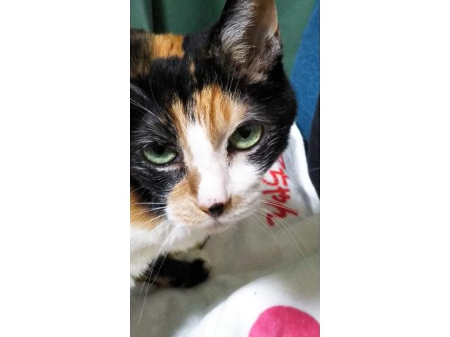 ミミちゃん