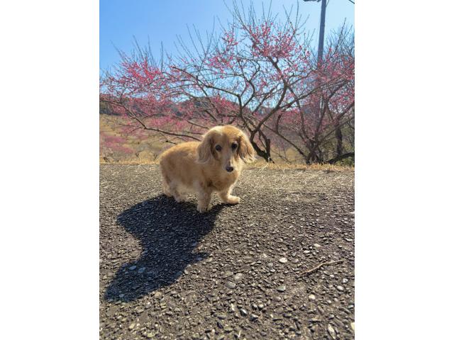 そらちゃん