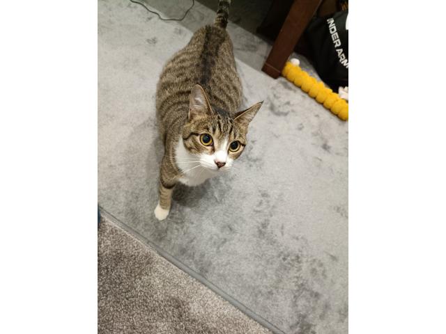 ろくちゃん